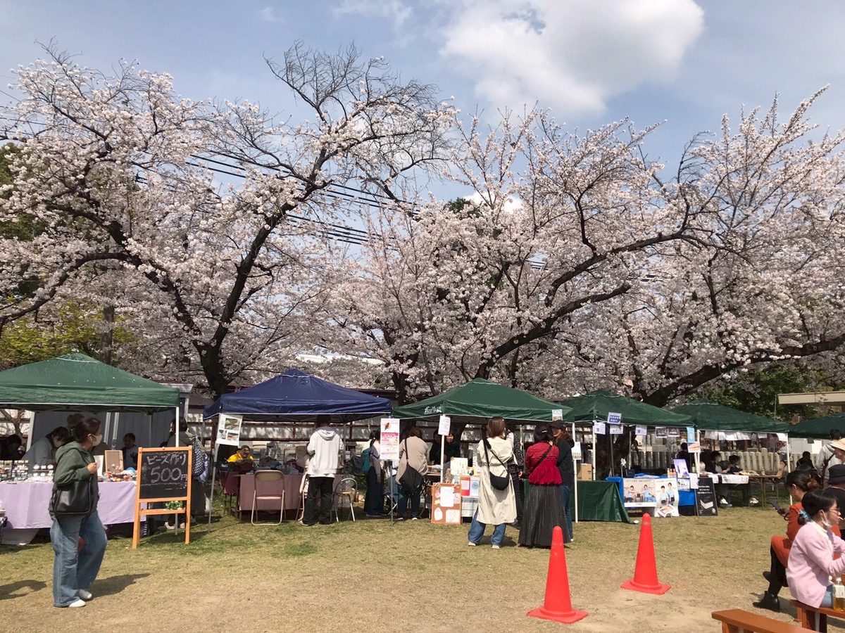2025　さくらまつりのお礼